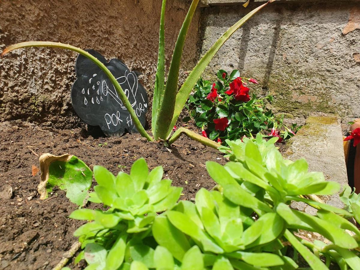 Lapo's Garden * Roma